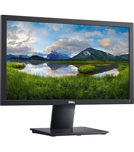 Amazon.com: Dell Monitor LCD de pantalla plana panorámica de 19